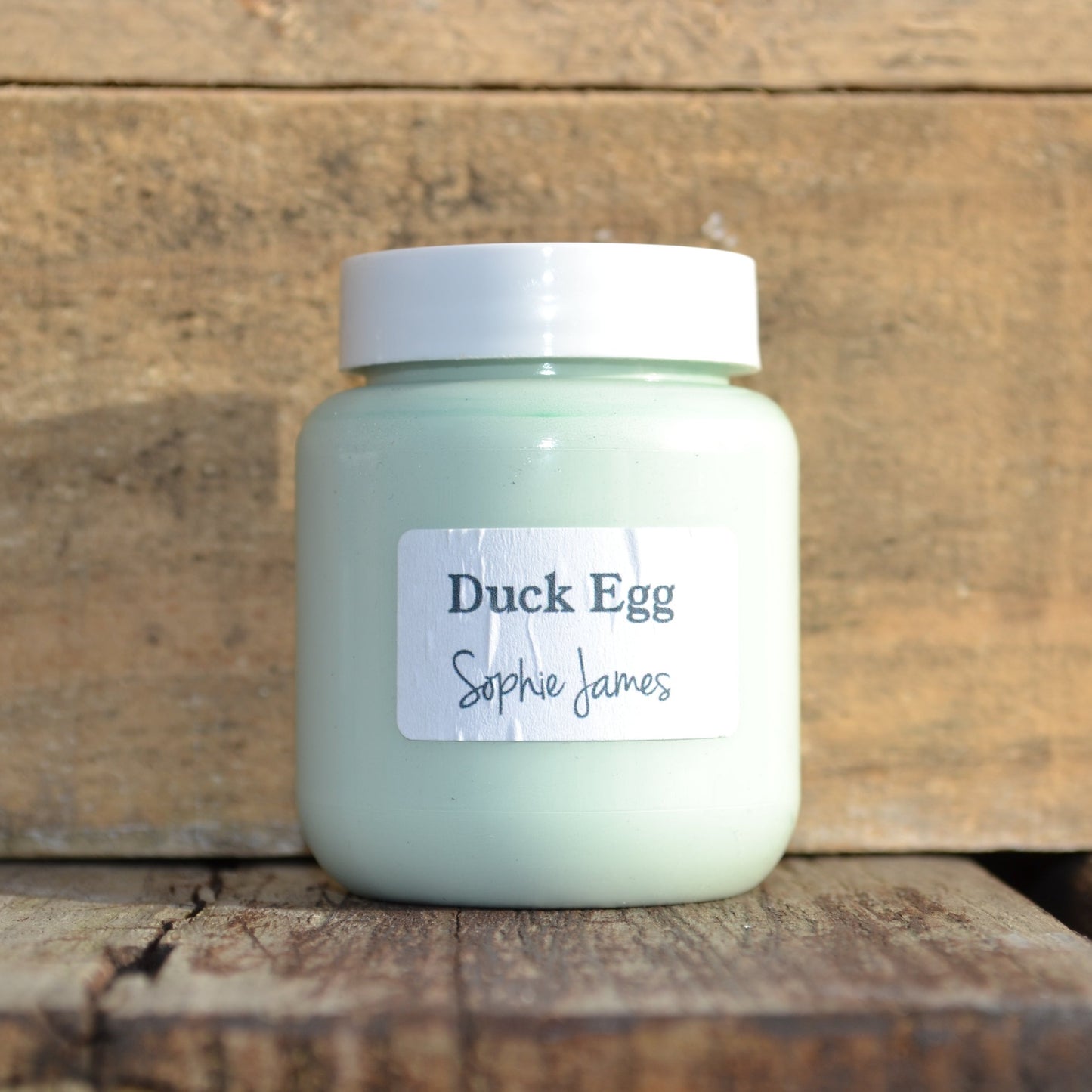 Duck Egg Paint