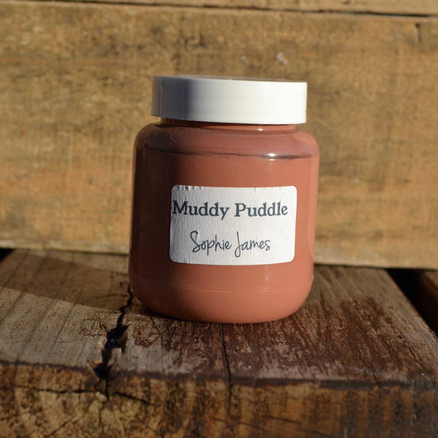 Muddy Puddle Paint